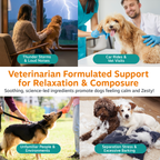 Dog Calming Supplement product image 3