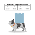 Dog Backpack Carrier product image 3