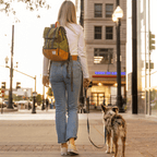 Dog Backpack Carrier product image 8