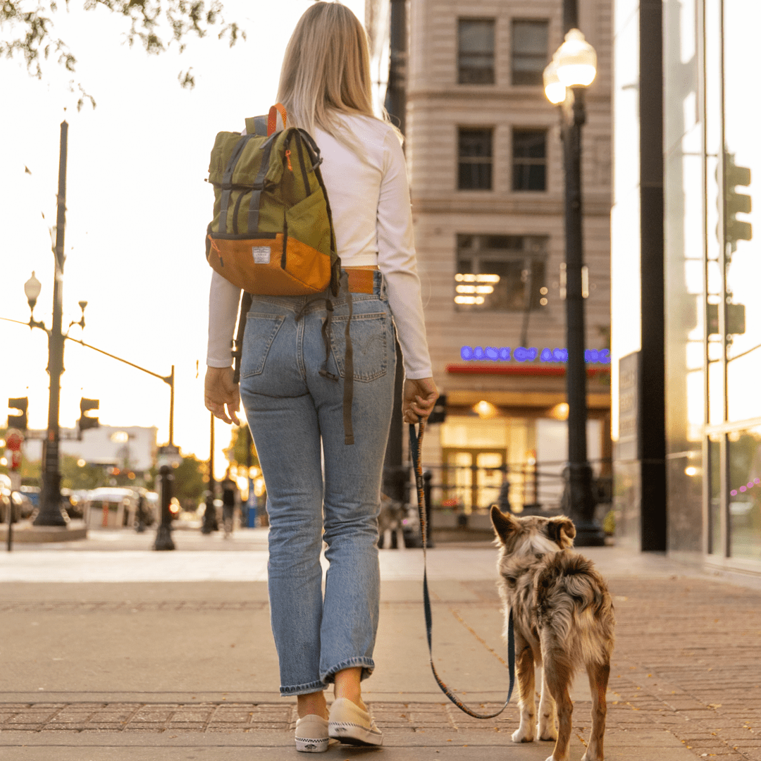 Dog Backpack Carrier product image 8