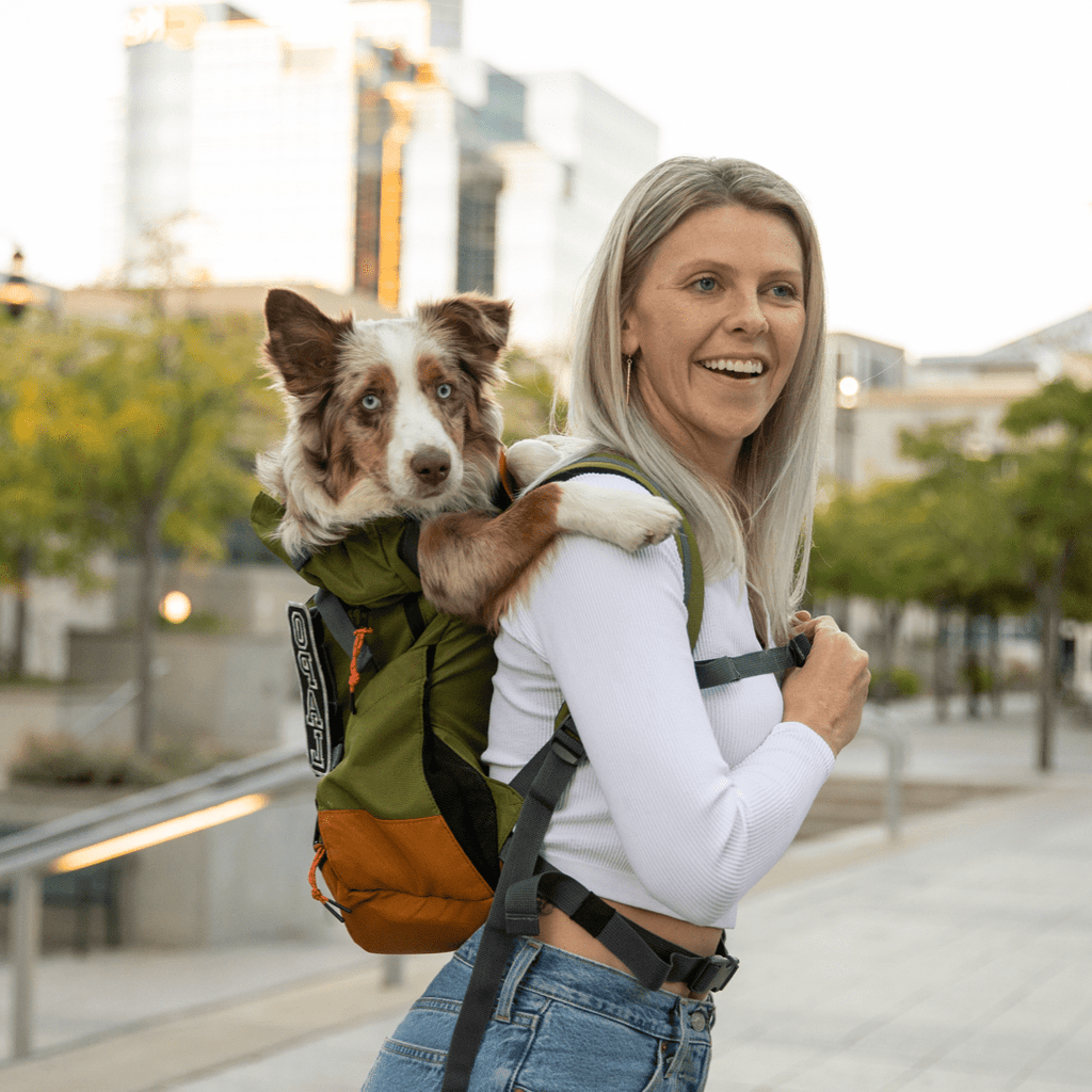 Dog Backpack Carrier product image 9