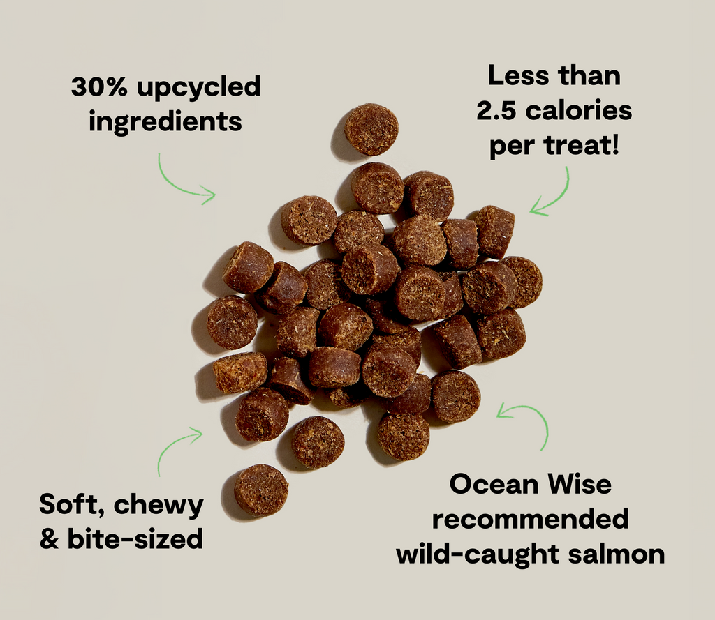Soft Dog Treats product image 5