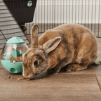 Small Animal Treat-Dispensing Toy product image 2