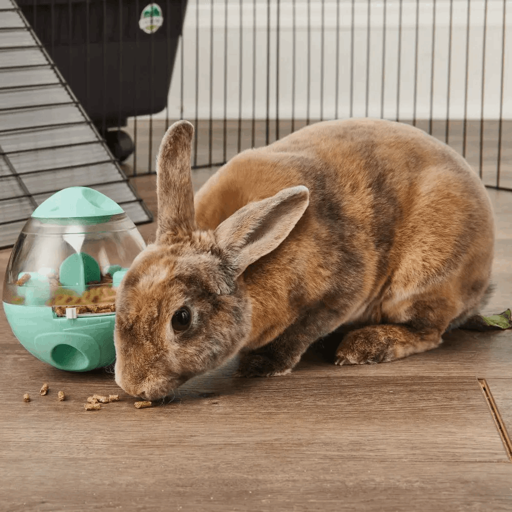 Small Animal Treat-Dispensing Toy product image 2