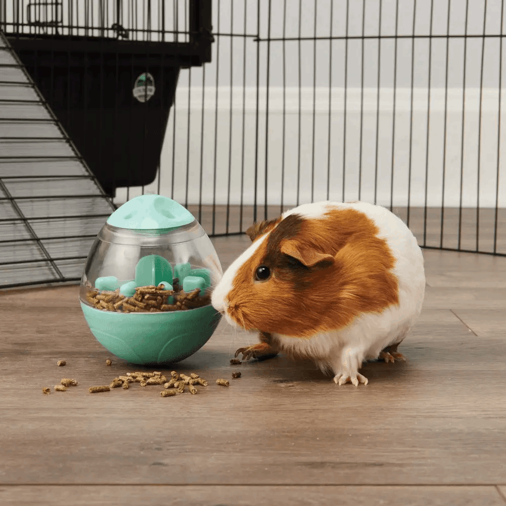 Small Animal Treat-Dispensing Toy product image 5