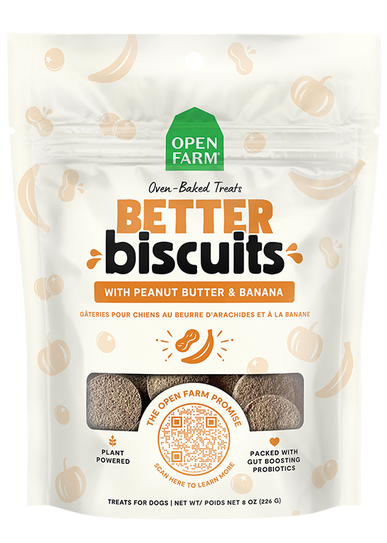 Dog Biscuit Treats product image 1