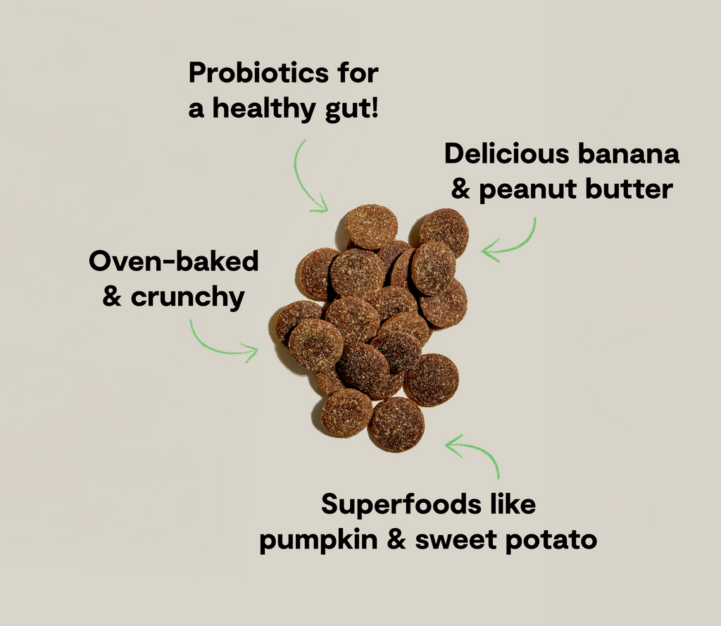 Dog Biscuit Treats product image 5