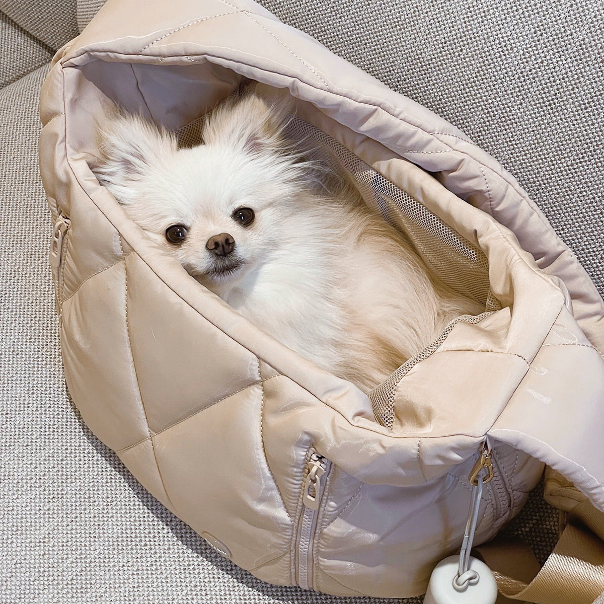 Soft-Sided Pet Carrier product image 2