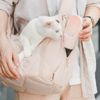 Soft-Sided Pet Carrier product image 3