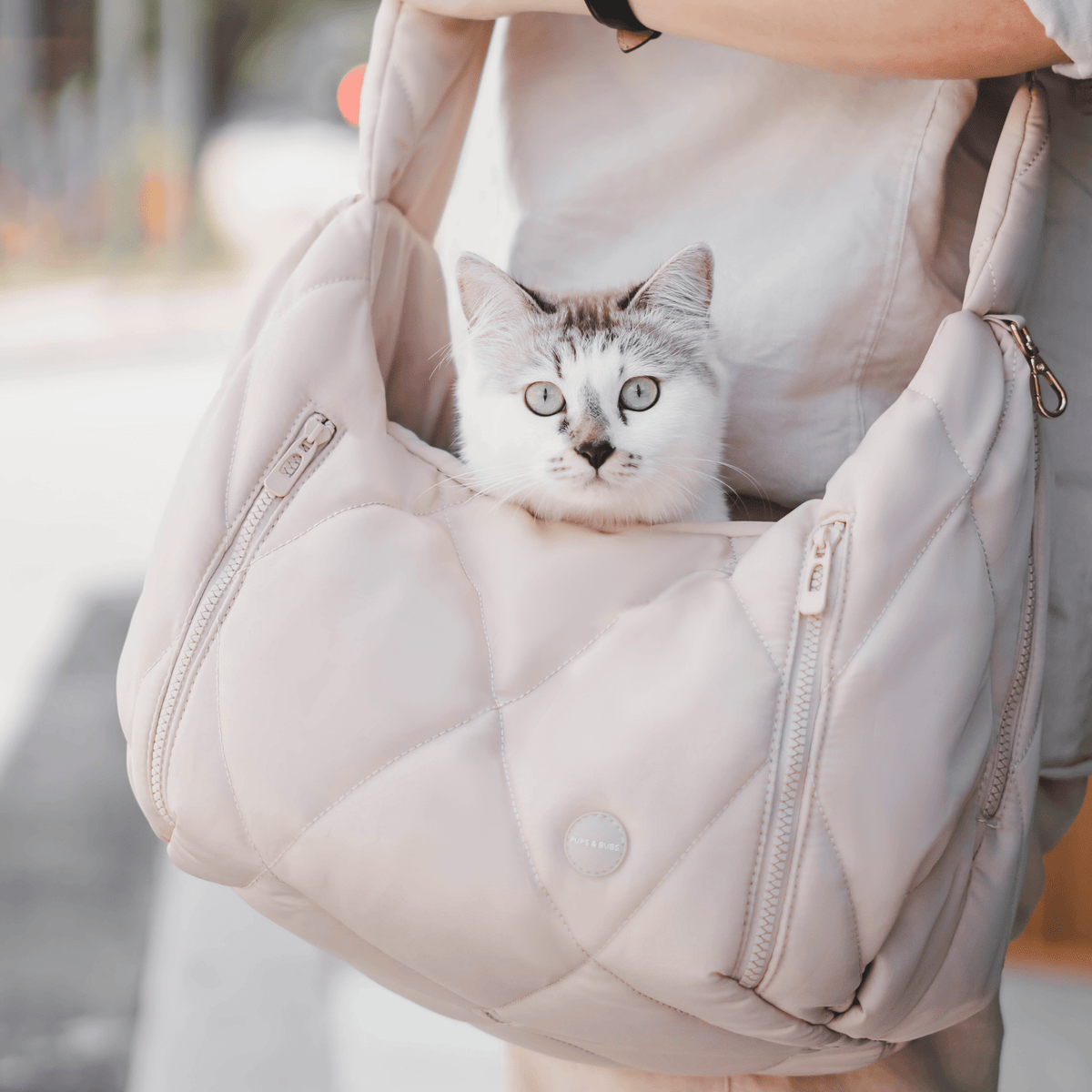 Soft-Sided Pet Carrier product image 5