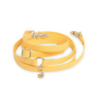 Hands-Free Dog Leash product image 1