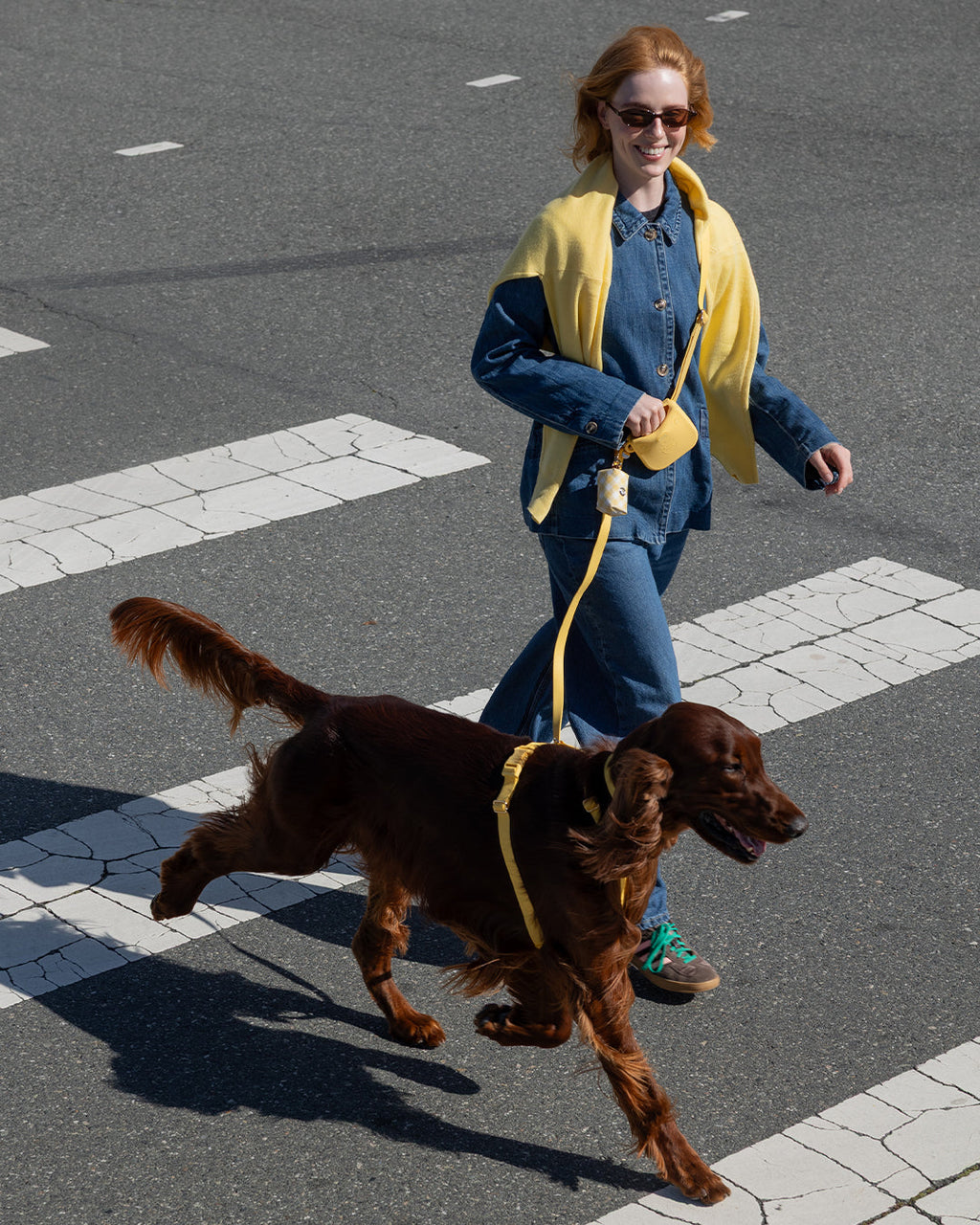 Hands-Free Dog Leash product image 2