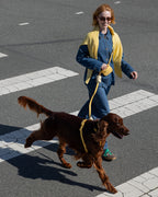 Hands-Free Dog Leash product image 2