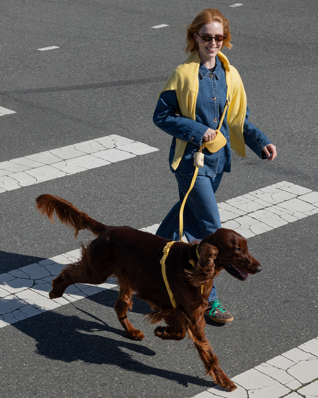 Hands-Free Dog Leash product image 2