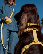 Hands-Free Dog Leash product image 5
