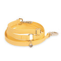 Hands-Free Dog Leash product image 1