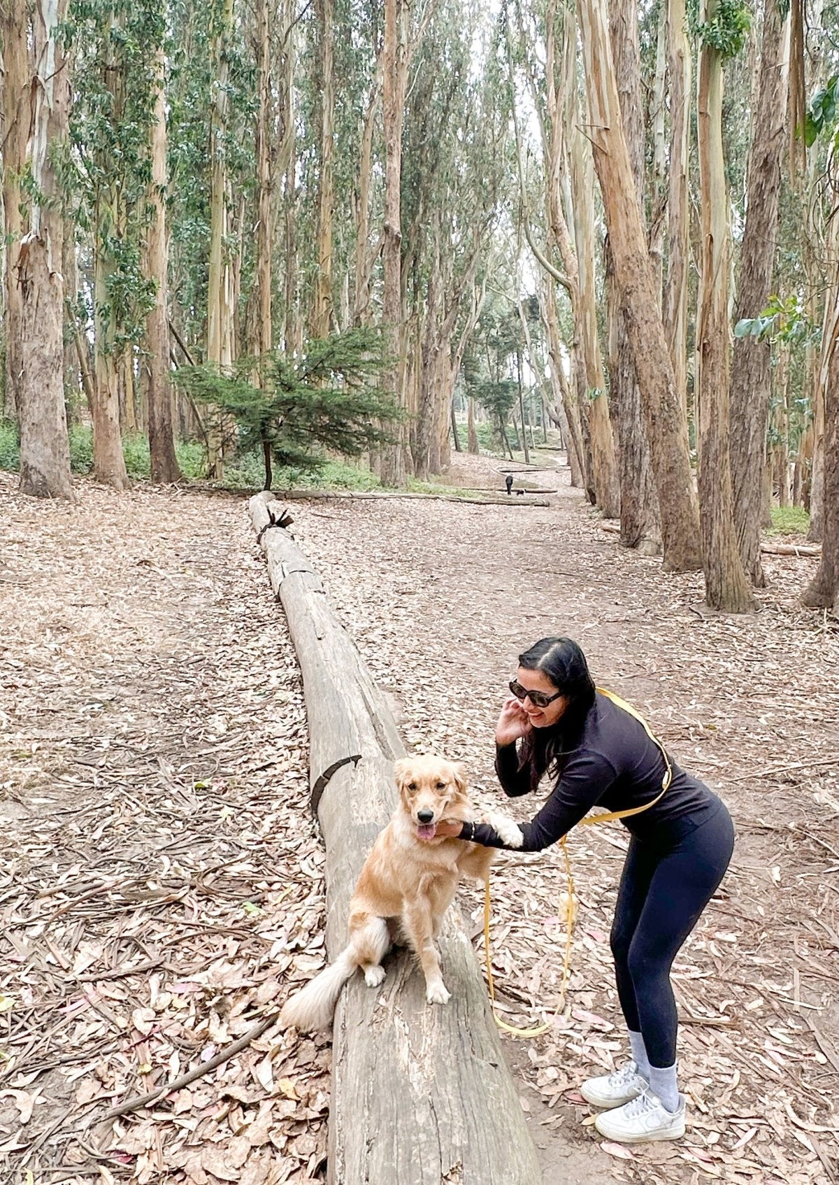 Hands-Free Dog Leash product image 8