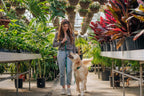 Hands-Free Dog Leash product image 10