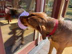 Pet Lick Mat product image 15