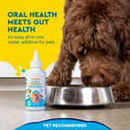 Pet Dental Water Additive product image 2