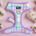 Adjustable Dog Harness product image 1