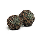 Willow Chew Ball product image 4