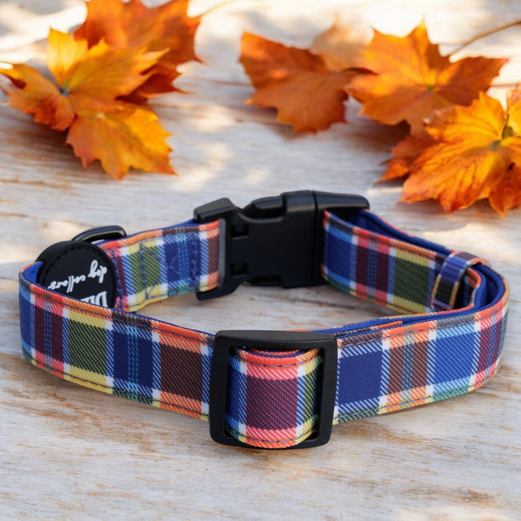 Dog Collar product image 2