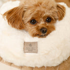 Dog Chin Rest Pillow product image 4