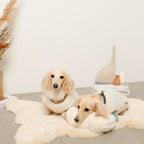 Dog Chin Rest Pillow product image 15