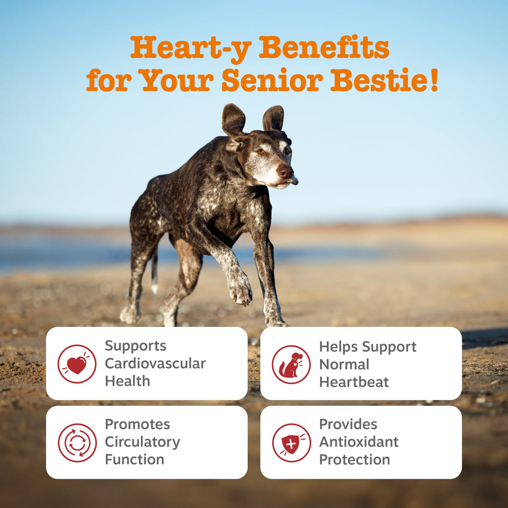 Dog Cardio Supplement product image 2