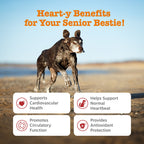 Dog Cardio Supplement product image 2