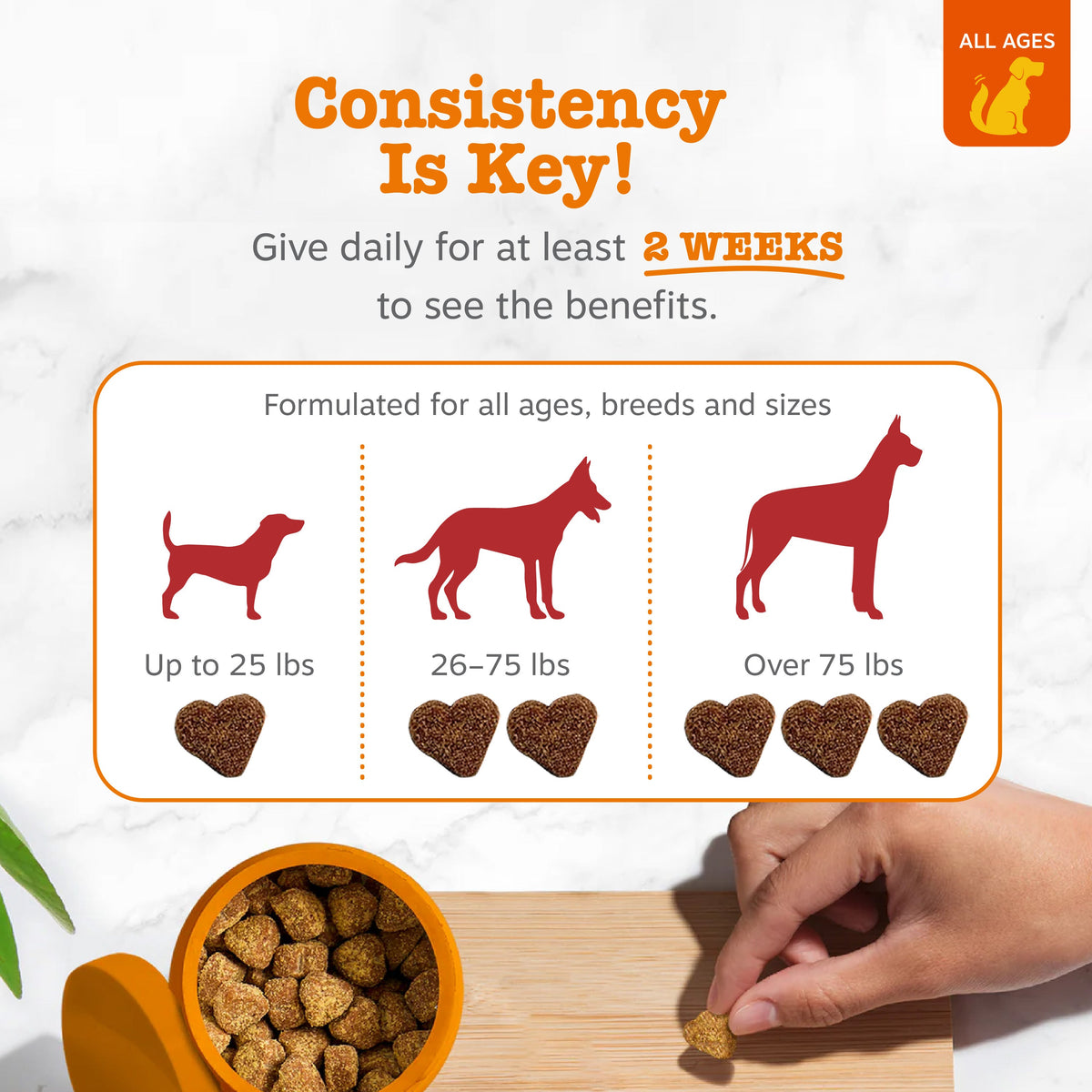 Dog Urinary Supplement product image 4