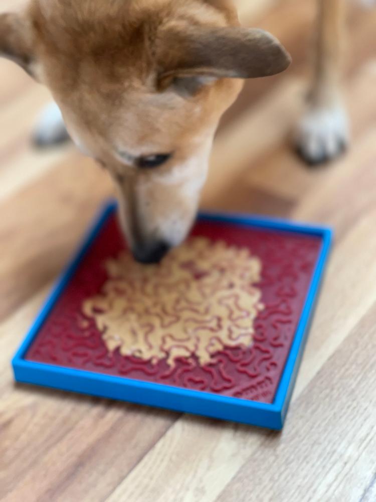 Dog Bowl Suction Holder product image 8