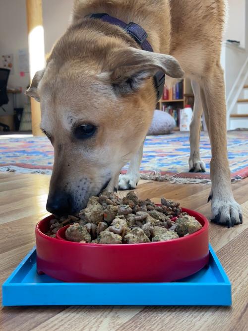 Dog Bowl Suction Holder product image 10