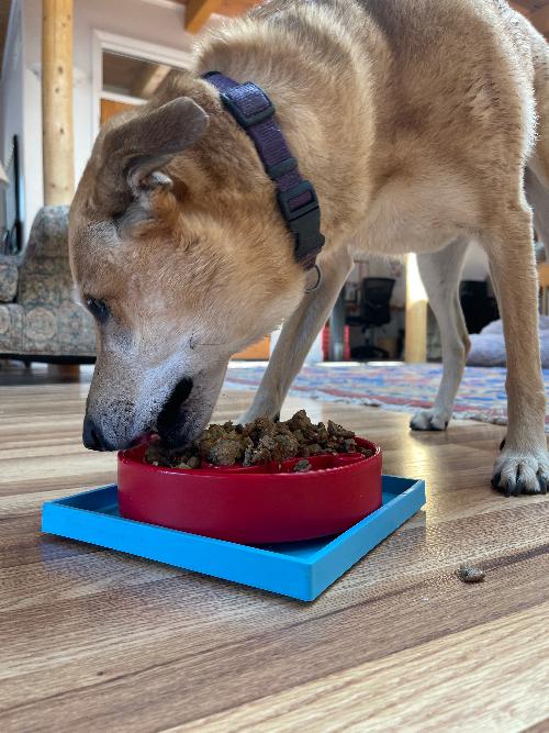 Dog Bowl Suction Holder product image 15