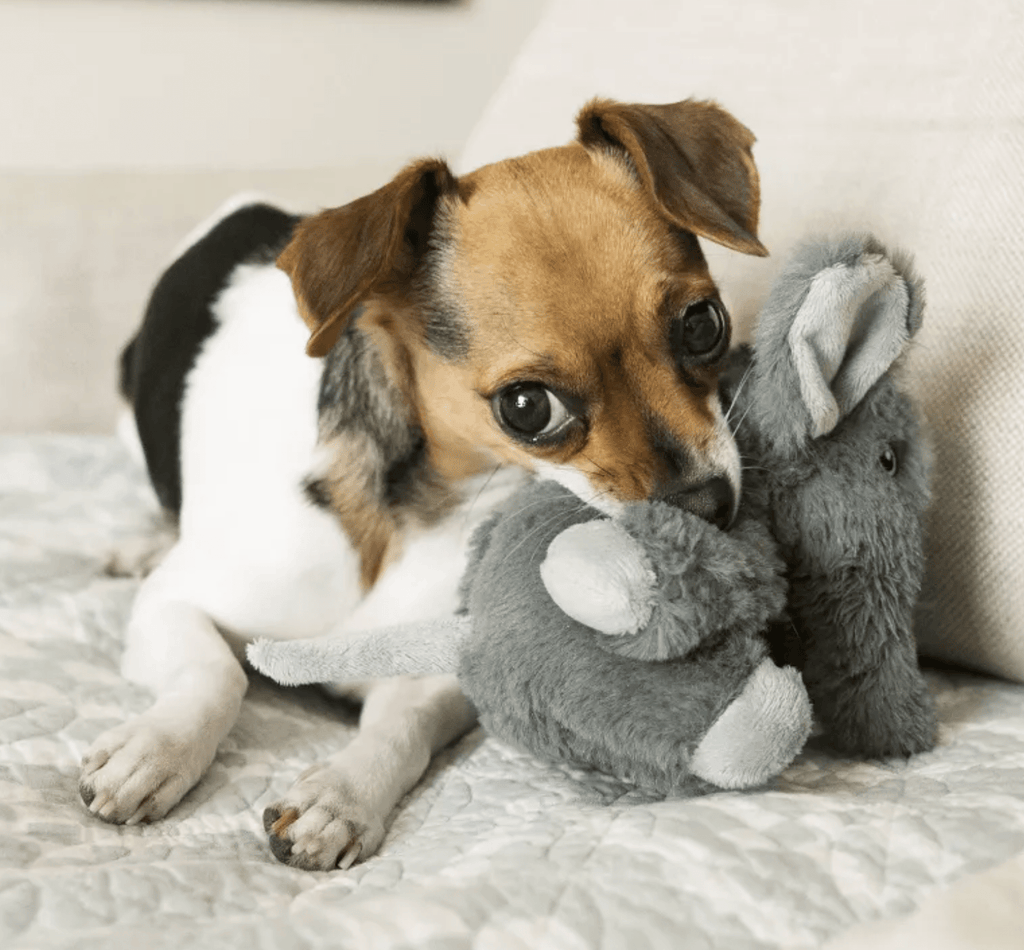 Plush Dog Toy product image 2