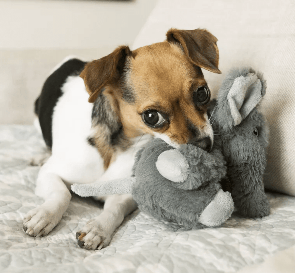 Plush Dog Toy product image 2