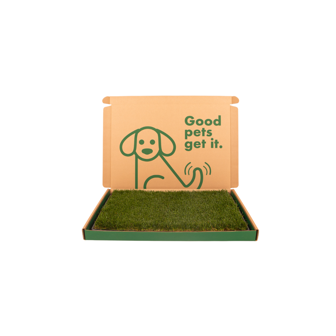 Dog Potty product image 2