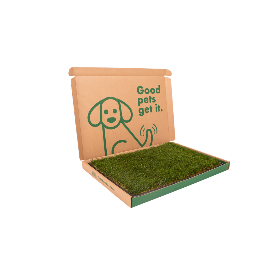 Dog Potty product image 3