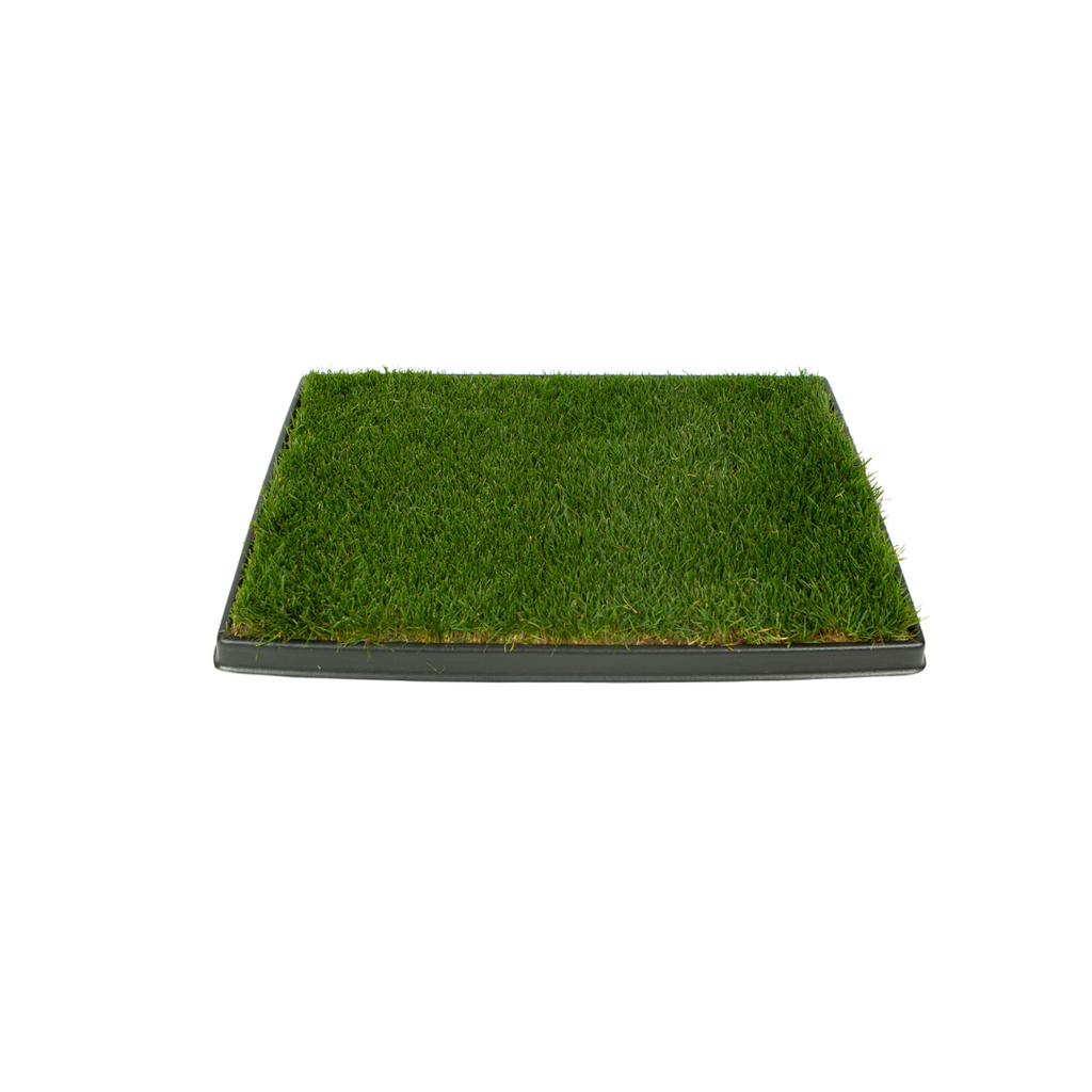 Dog Potty product image 5