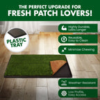 Dog Potty product image 6