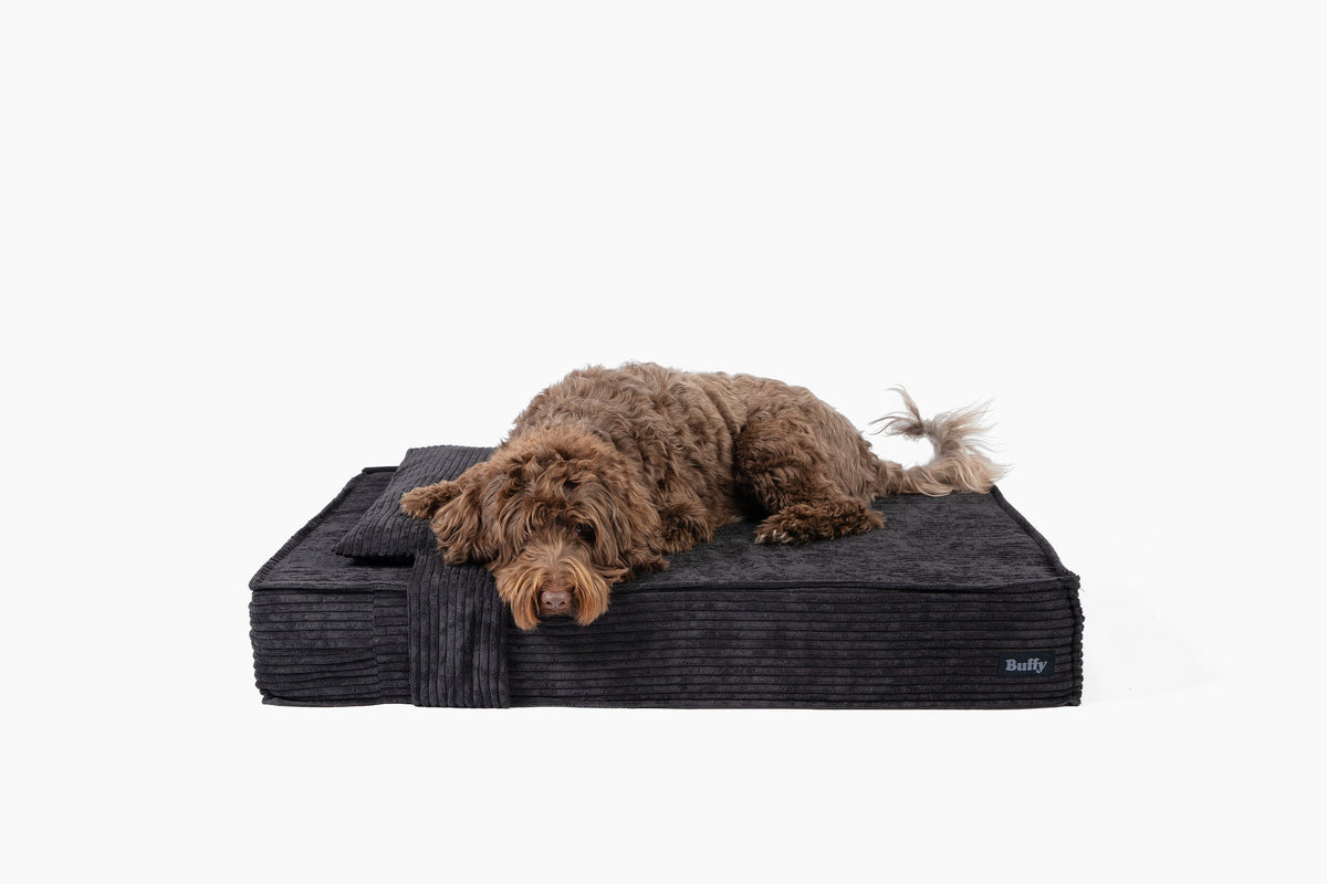 Dog Beds product image 1