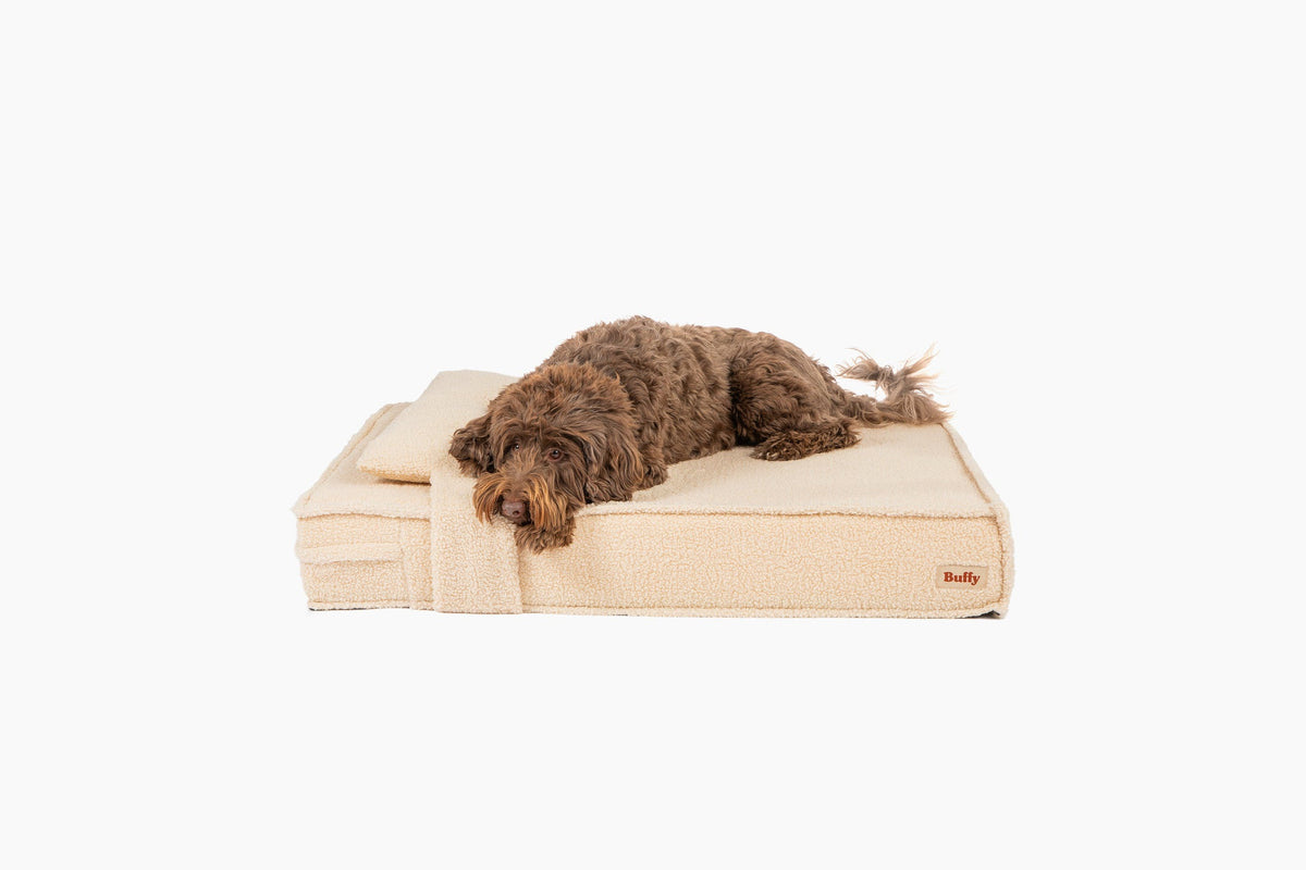 Dog Beds product image 5