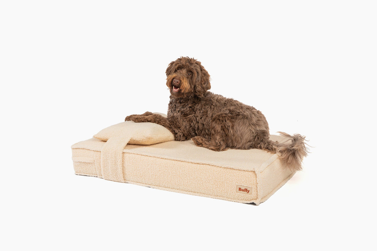 Dog Beds product image 6