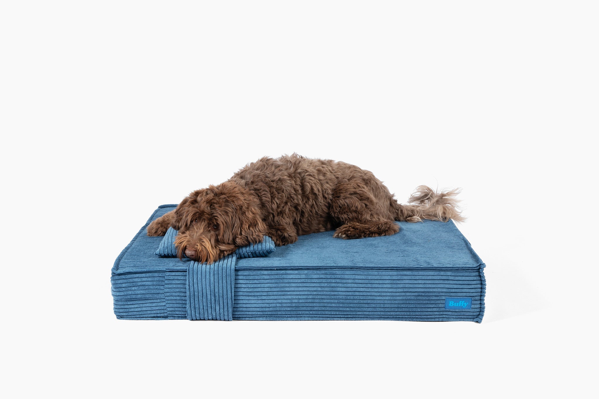 Dog Beds product image 9