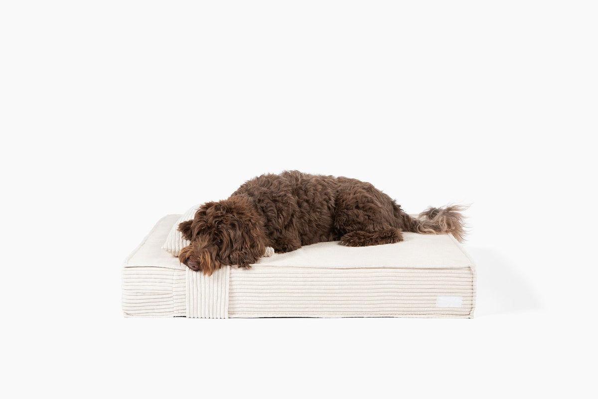 Dog Beds product image 13