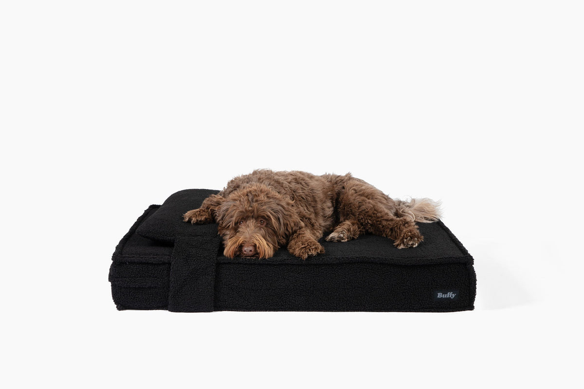 Dog Beds product image 17