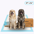 Dog Training Pads product image 2