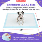 Dog Training Pads product image 7