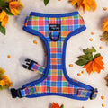Adjustable Dog Harness product image 1